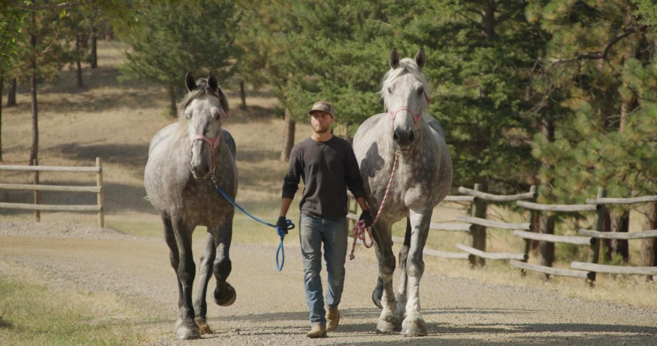 Riverview Ranch Alberton Bagian luar foto