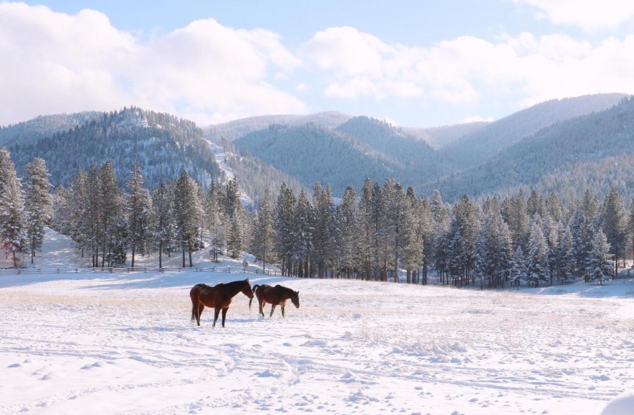 Riverview Ranch Alberton Bagian luar foto