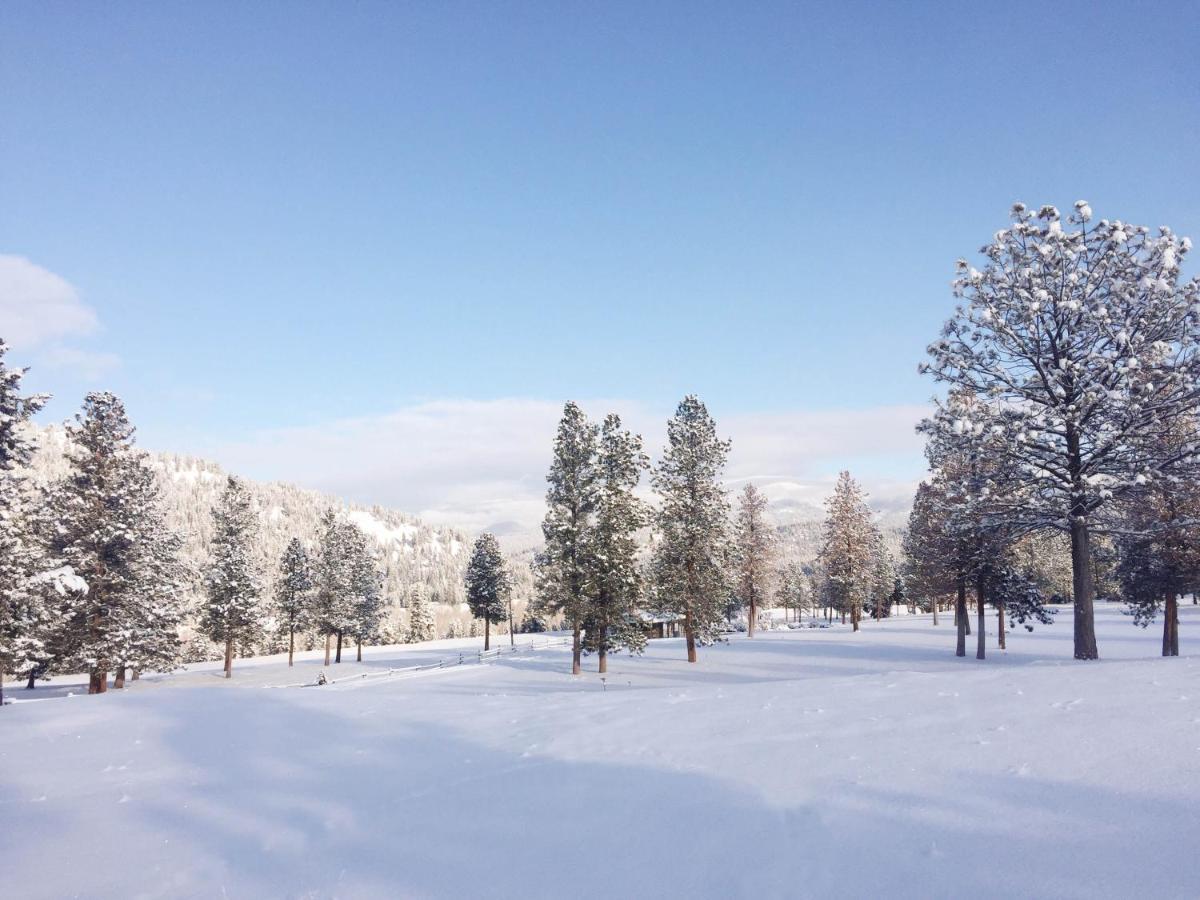 Riverview Ranch Alberton Bagian luar foto